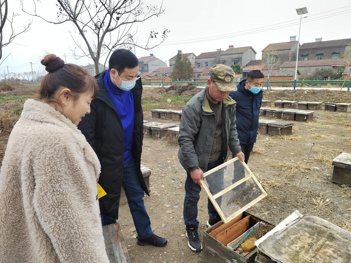 沙市區(qū)科協(xié)到荊州市振飛養(yǎng)蜂專業(yè)合作社開展走訪調研1.png